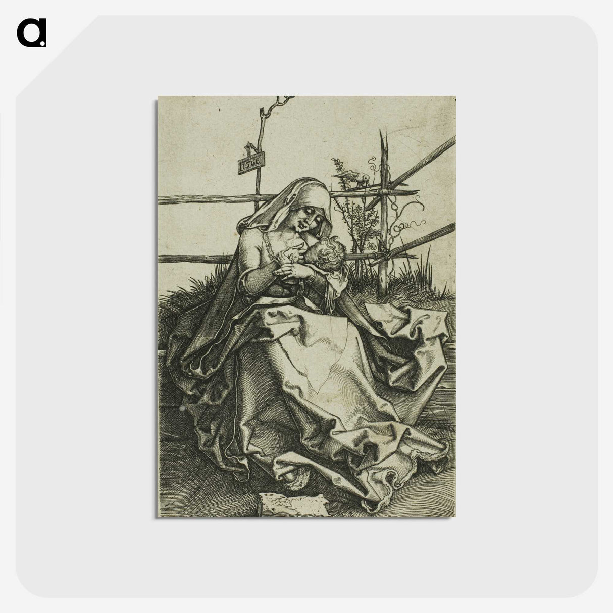 2-36_Albrecht-Durer_postcard