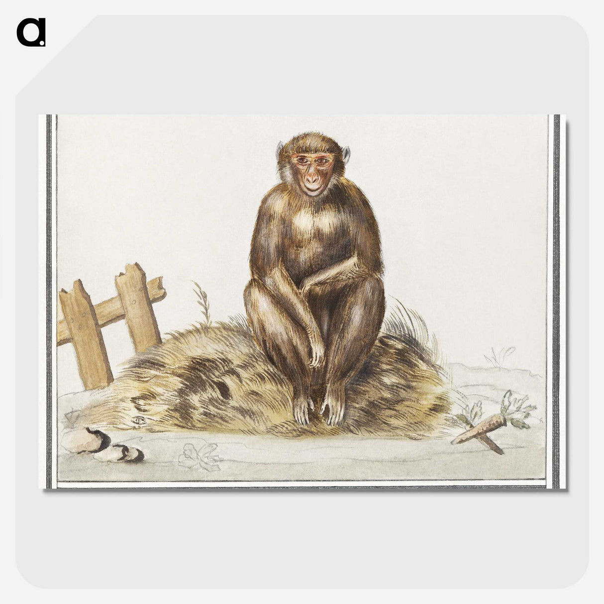 2-36_Anselmus-Boetius-de-Boodt_picture-crop