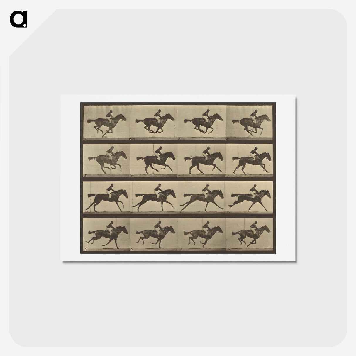 2-36_Eadweard-Muybridge_hagaki