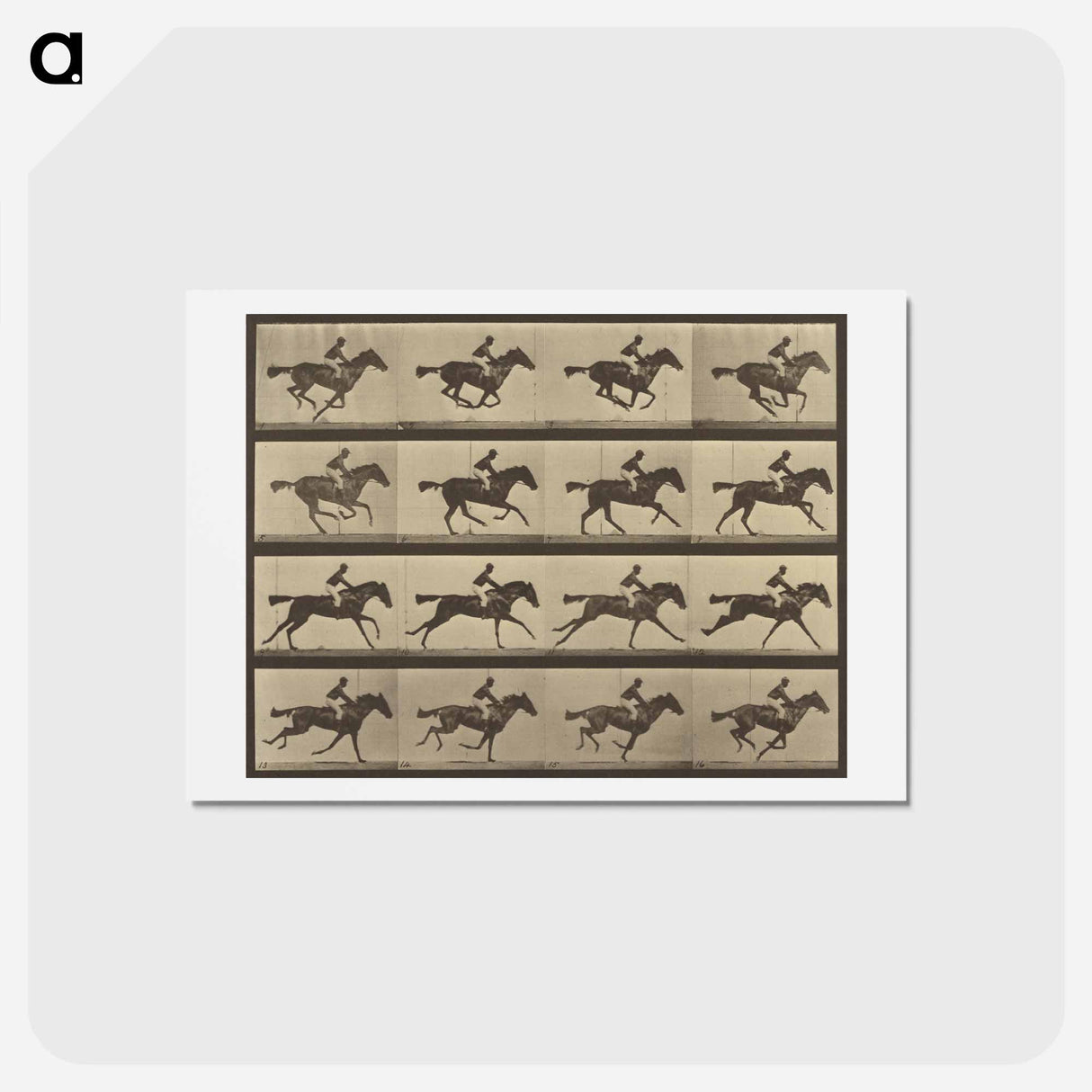 アートポストカード-Animal Locomotion
- エドワード マイブリッジ Postcard.