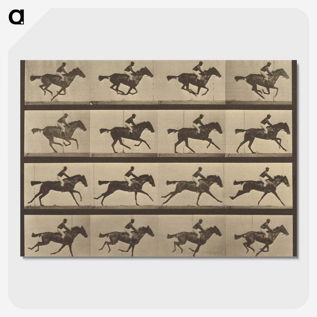 2-36_Eadweard-Muybridge_picture-crop