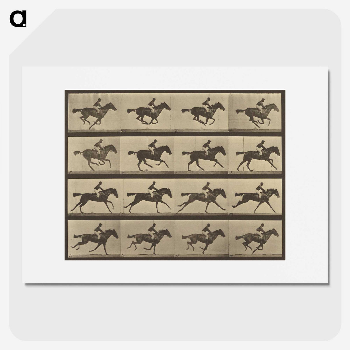 2-36_Eadweard-Muybridge_picture