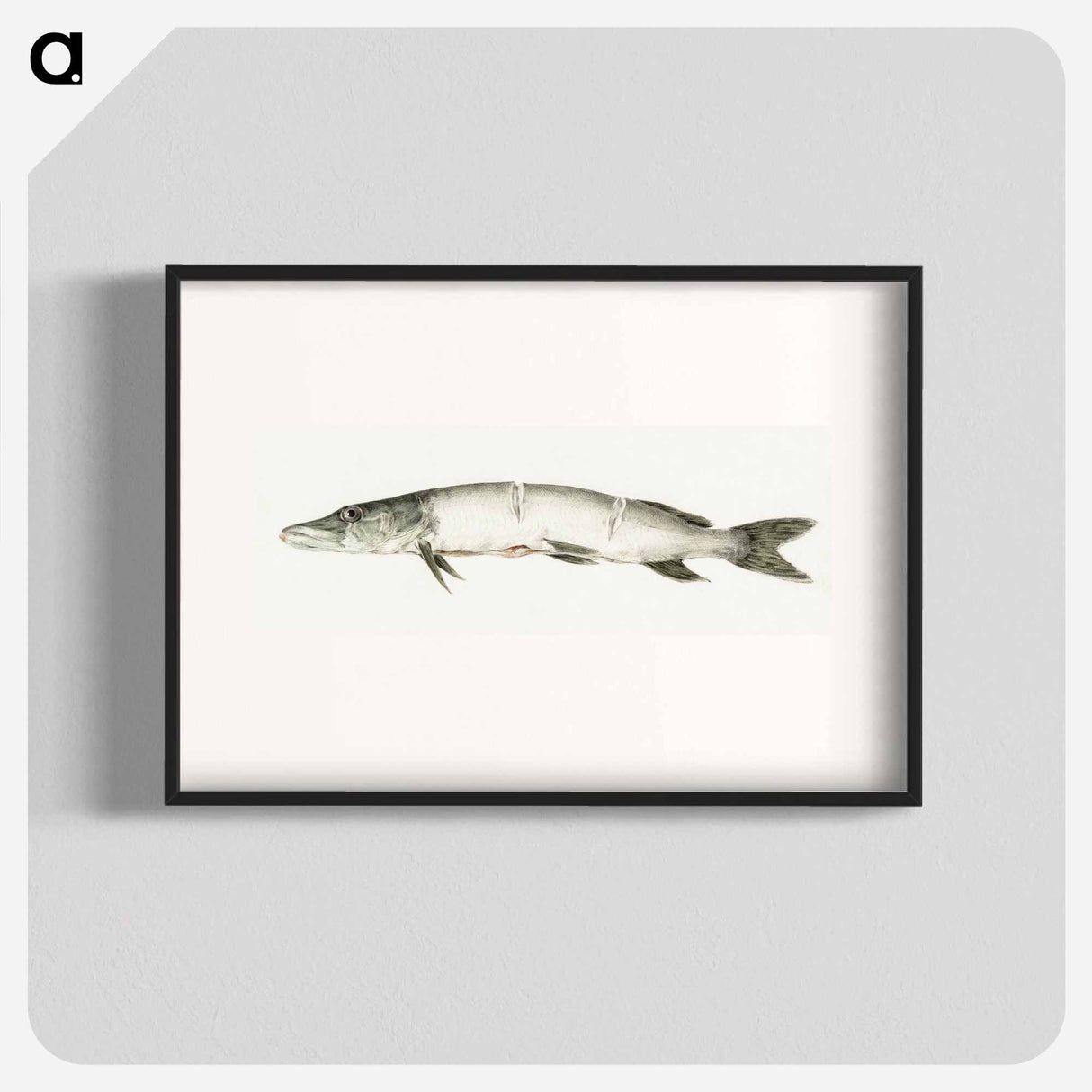 Pike, with two notches - ジャン ベルナール Poster.