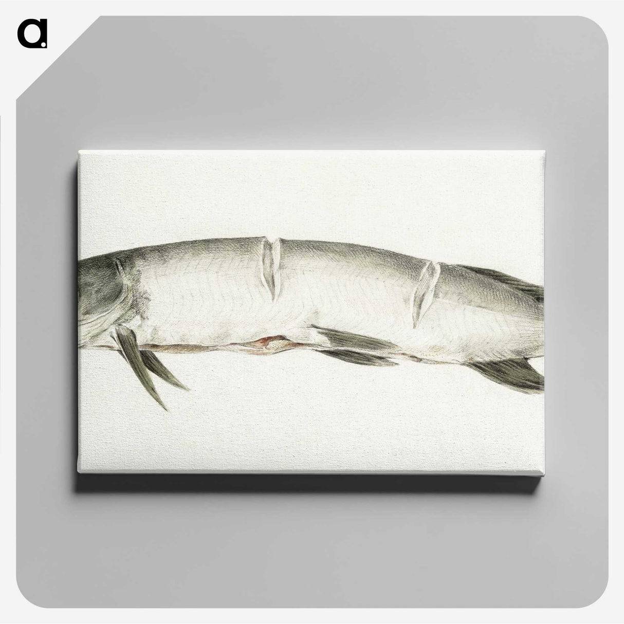 2-36_Jean-Bernard_canvas