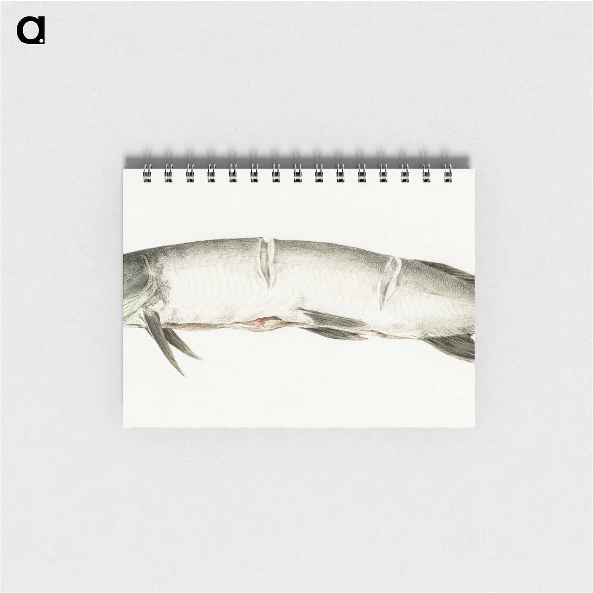 Pike, with two notches - ジャン ベルナール Memo.