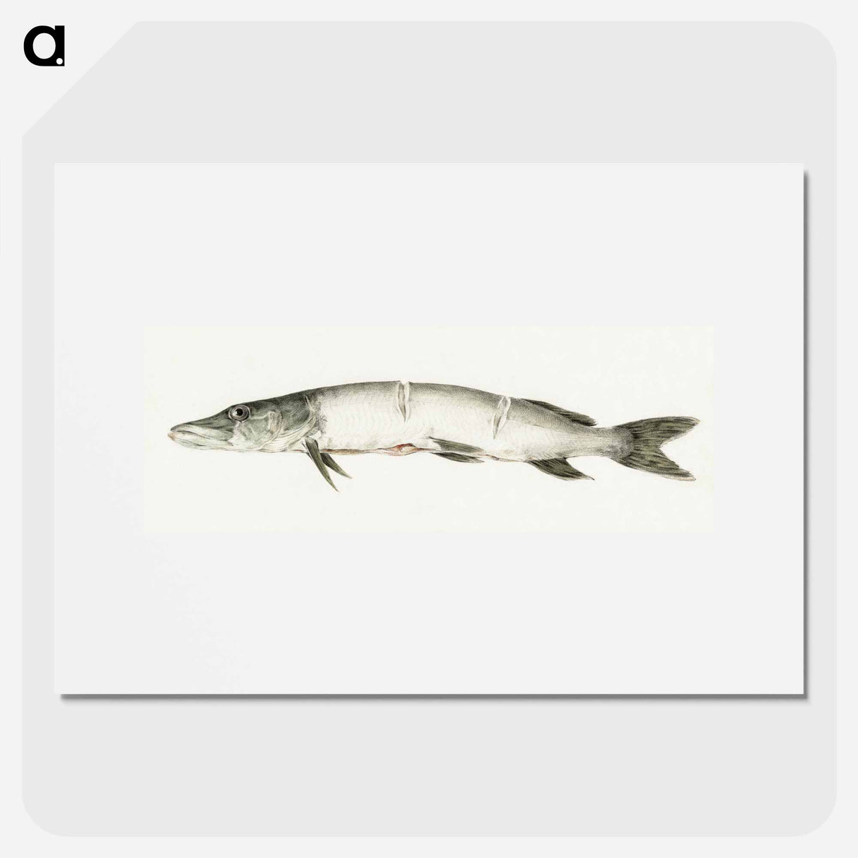 Pike, with two notches - ジャン ベルナール Poster.