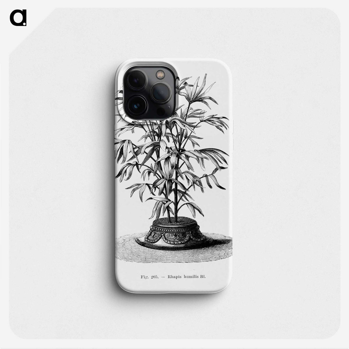 2-36_Les-Palmiers-Histoire-Iconographique_phone