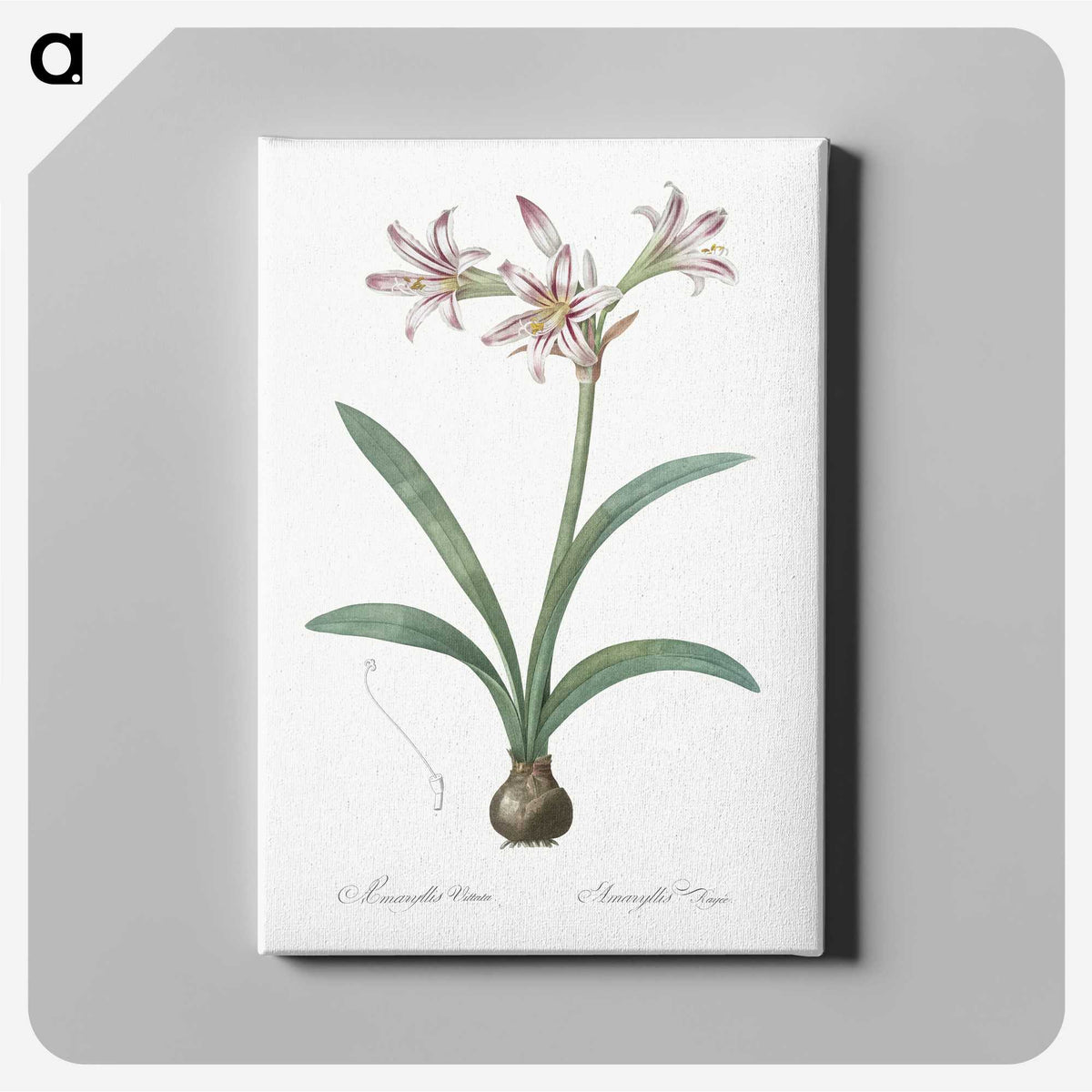 2-36_The-Lilies_canvas