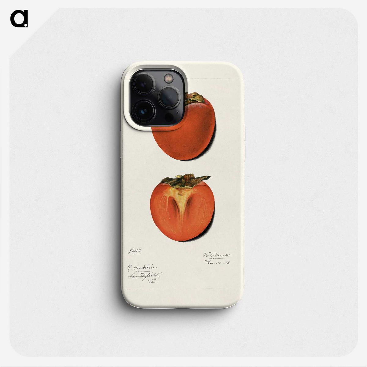 2-36_USDA-Watercolor-Fruit-Painting-Collection_phone