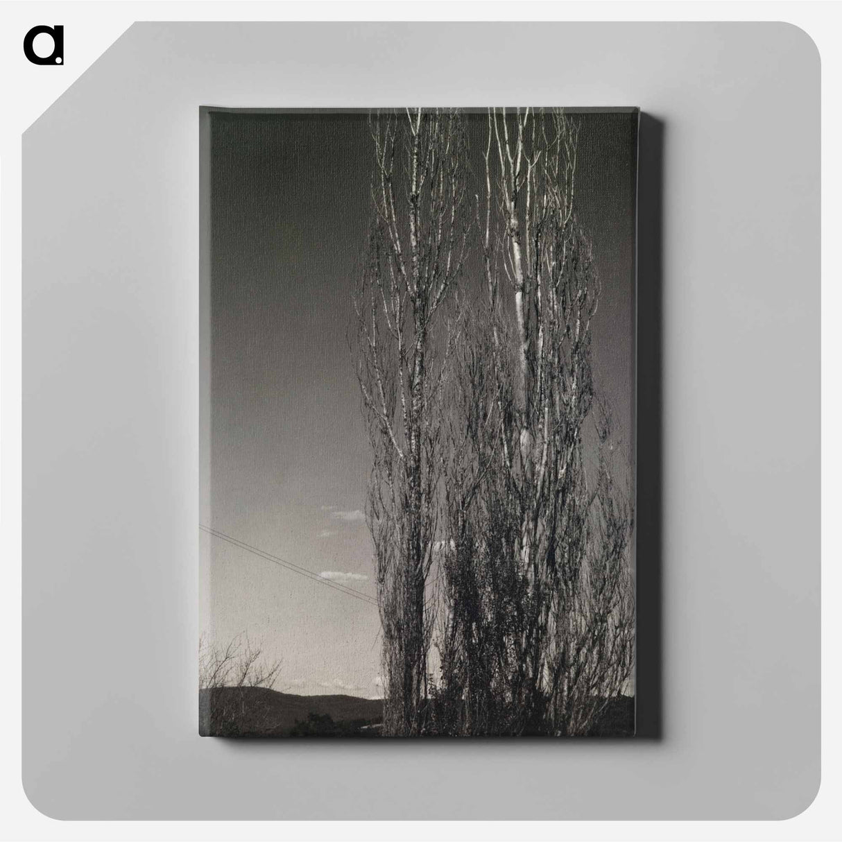 The Two Poplars, Lake George - アルフレッド スティーグリッツ Canvas.