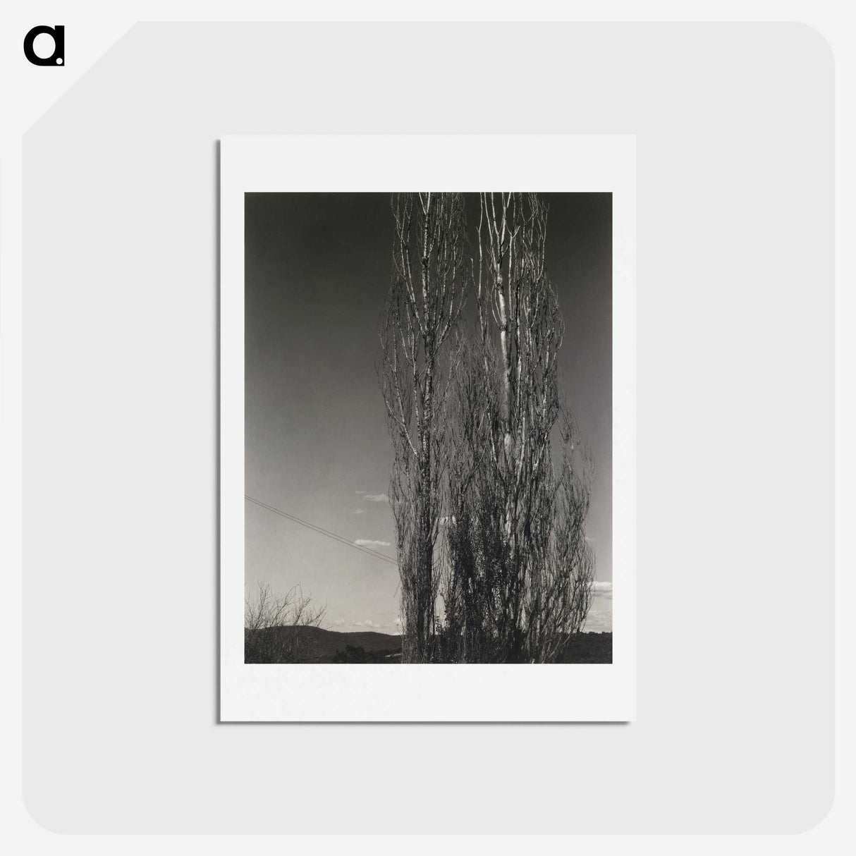 2-37_Alfred-Stieglitz_hagaki