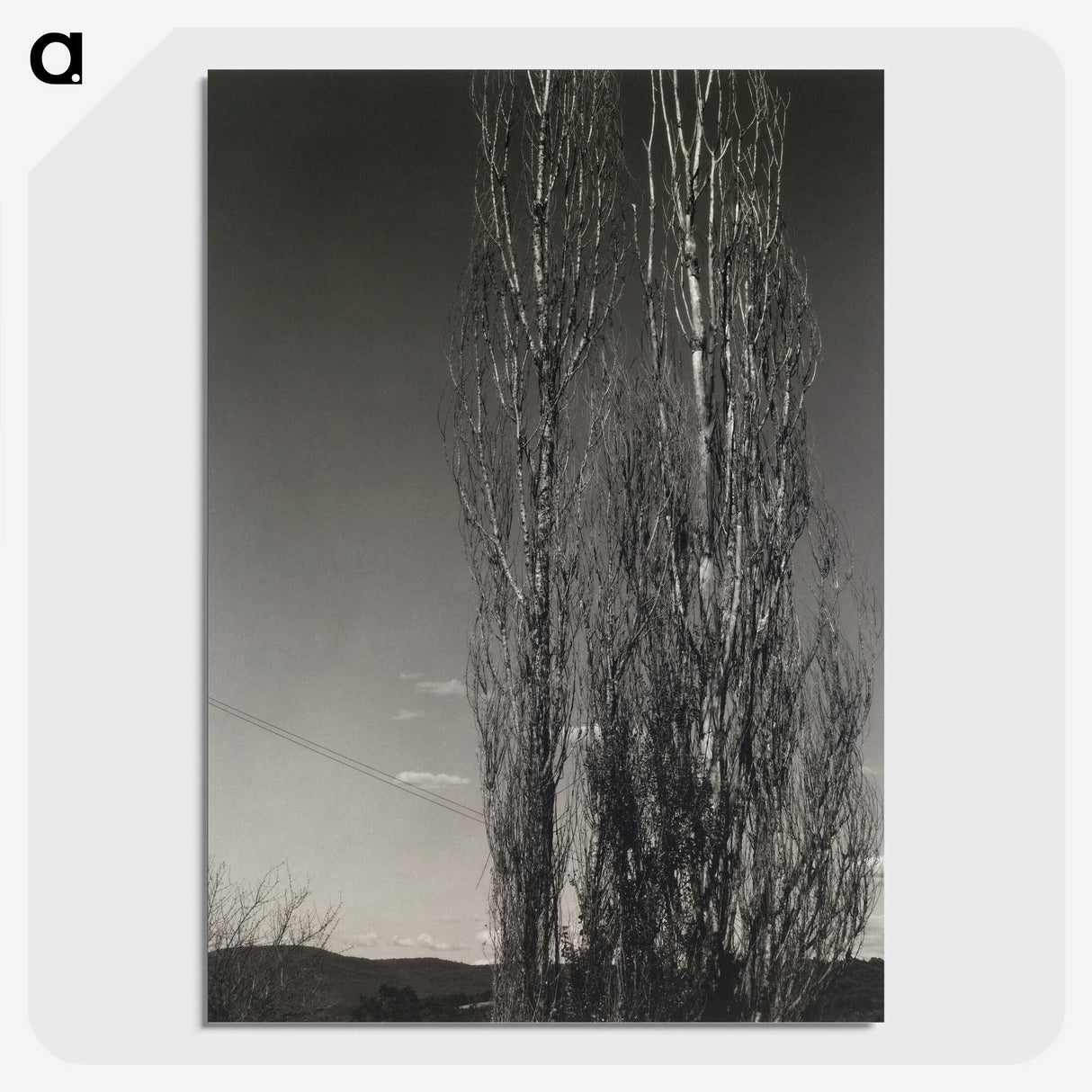 2-37_Alfred-Stieglitz_picture-crop