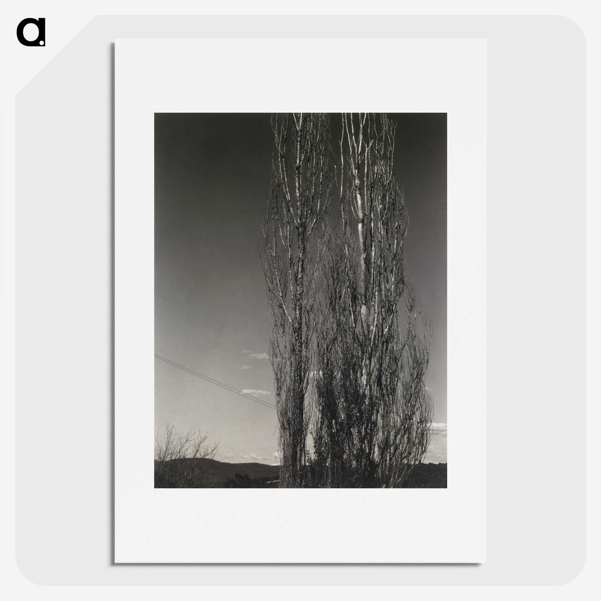 2-37_Alfred-Stieglitz_picture