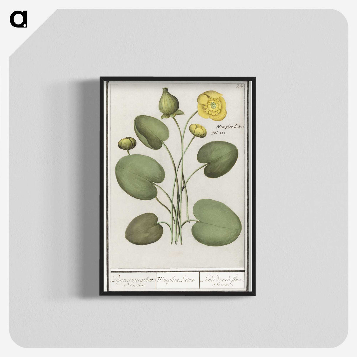 2-37_Anselmus-Boetius-de-Boodt_blk-crop