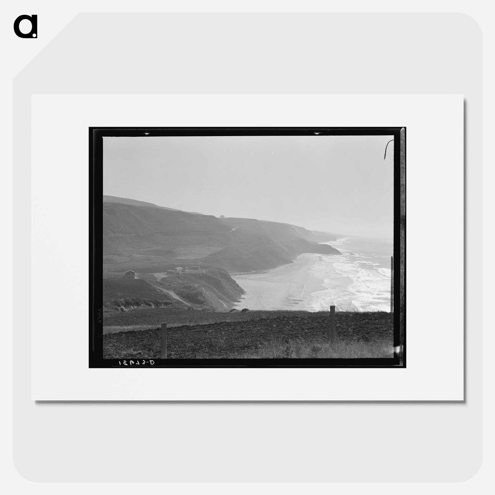 Untitled photo - Dorothea Lange Poster.