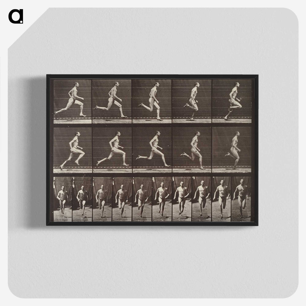 2-37_Eadweard-Muybridge_blk-crop