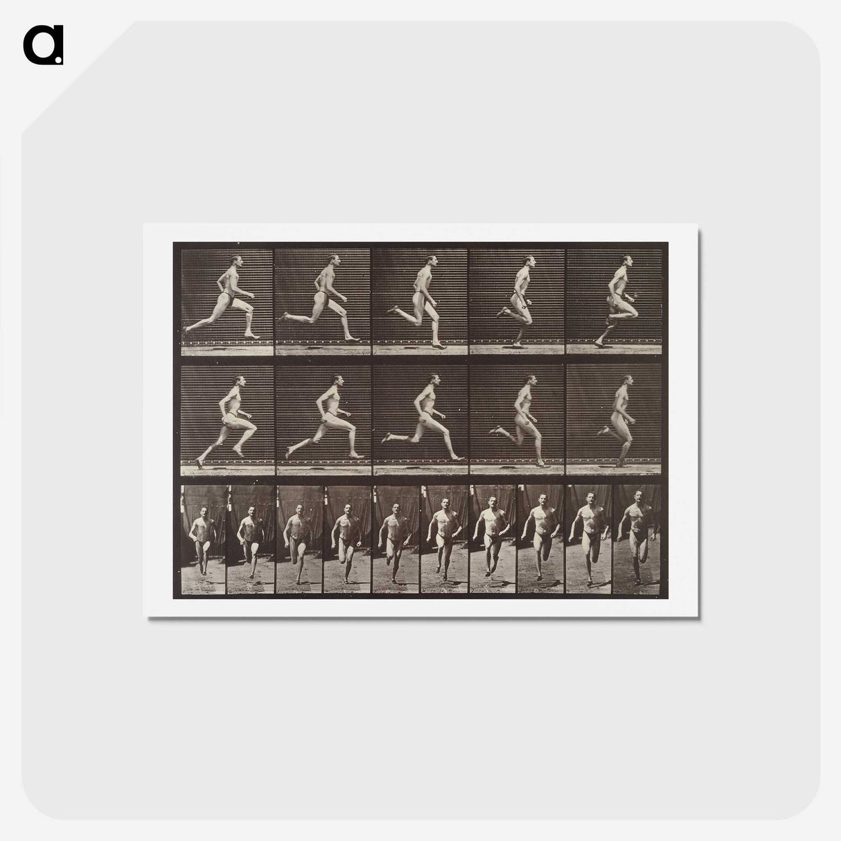 2-37_Eadweard-Muybridge_hagaki
