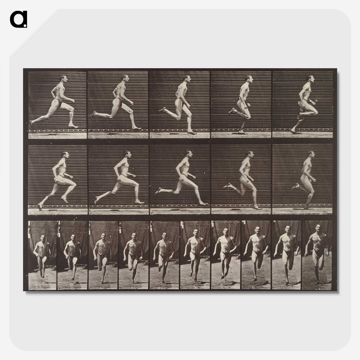 2-37_Eadweard-Muybridge_picture-crop