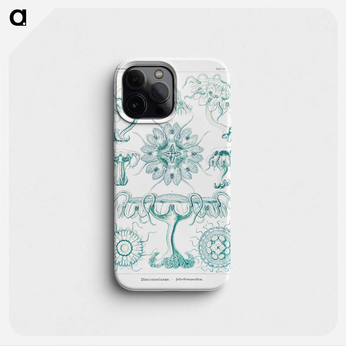 Discomedusae–Scheibenquallen - エルンスト ヘッケル Phone Case.