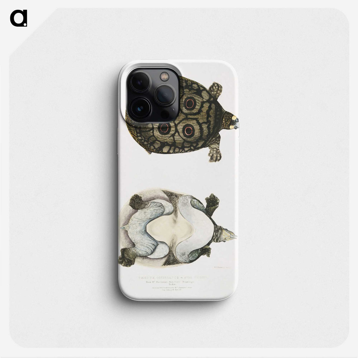 2-37_Indian-Zoology_phone