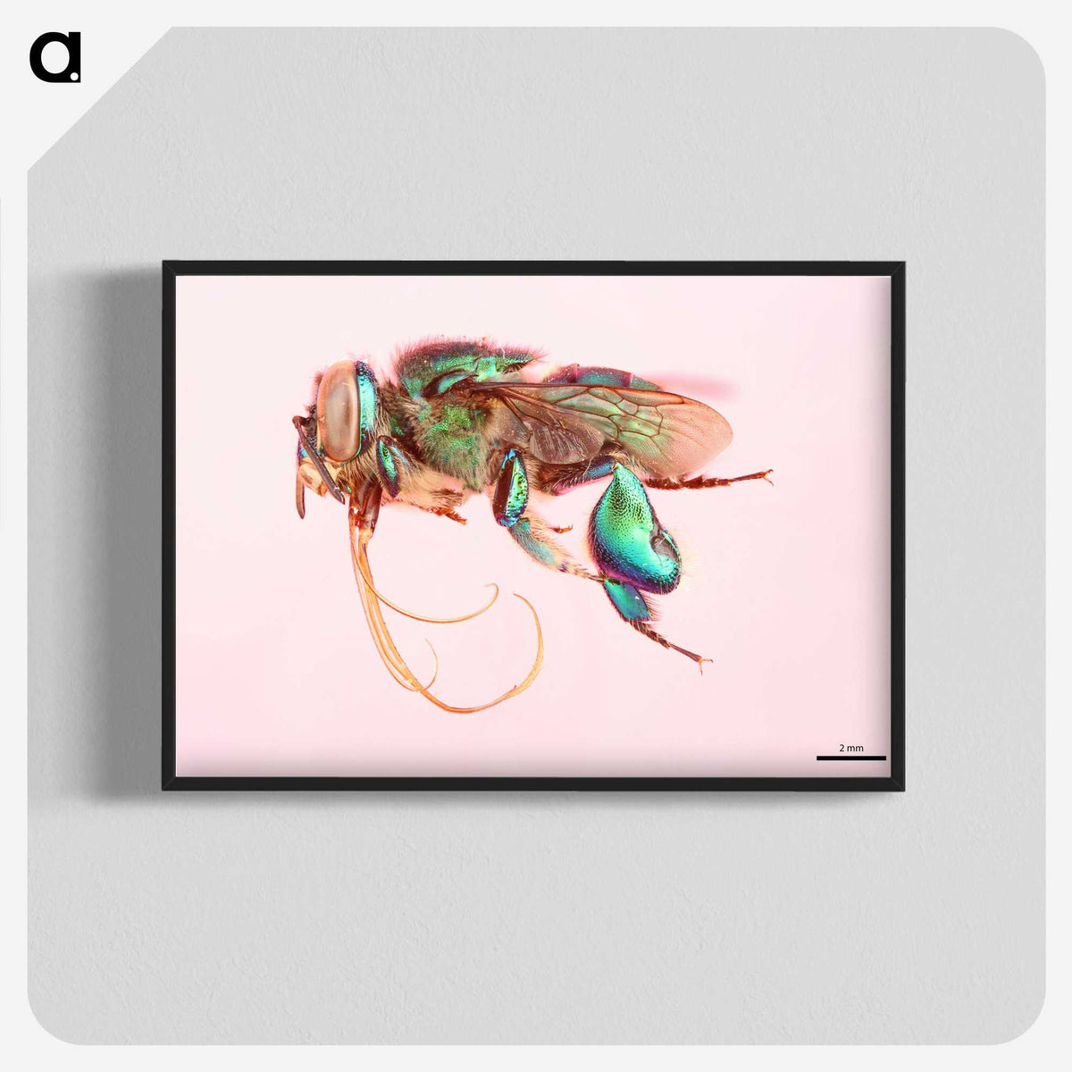 2-37_Insects-Unlocked-Project_blk-crop