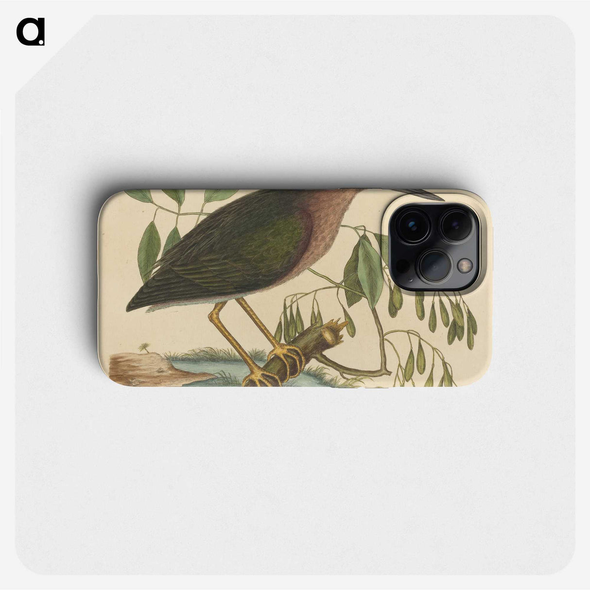 2-37_Mark-Catesby_phone