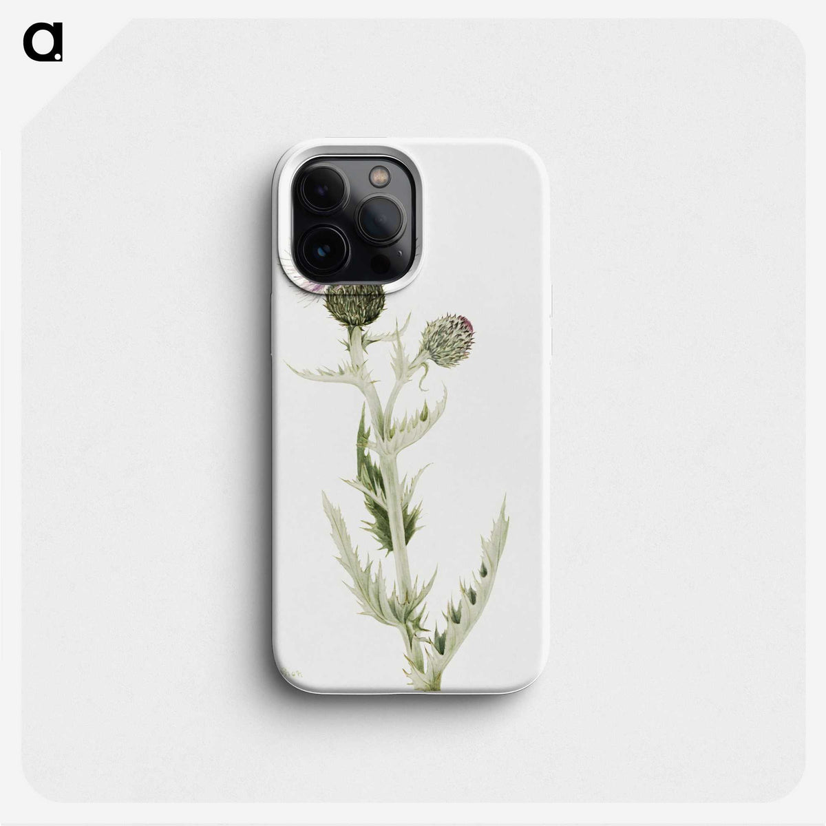 2-37_Mary-Vaux-Walcott_phone