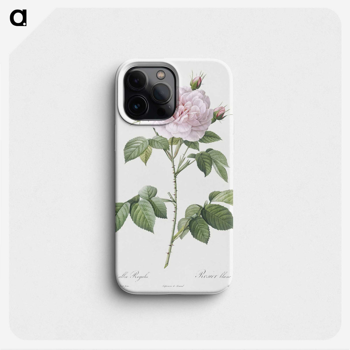 2-37_Pierre-Joseph-Redoute_phone