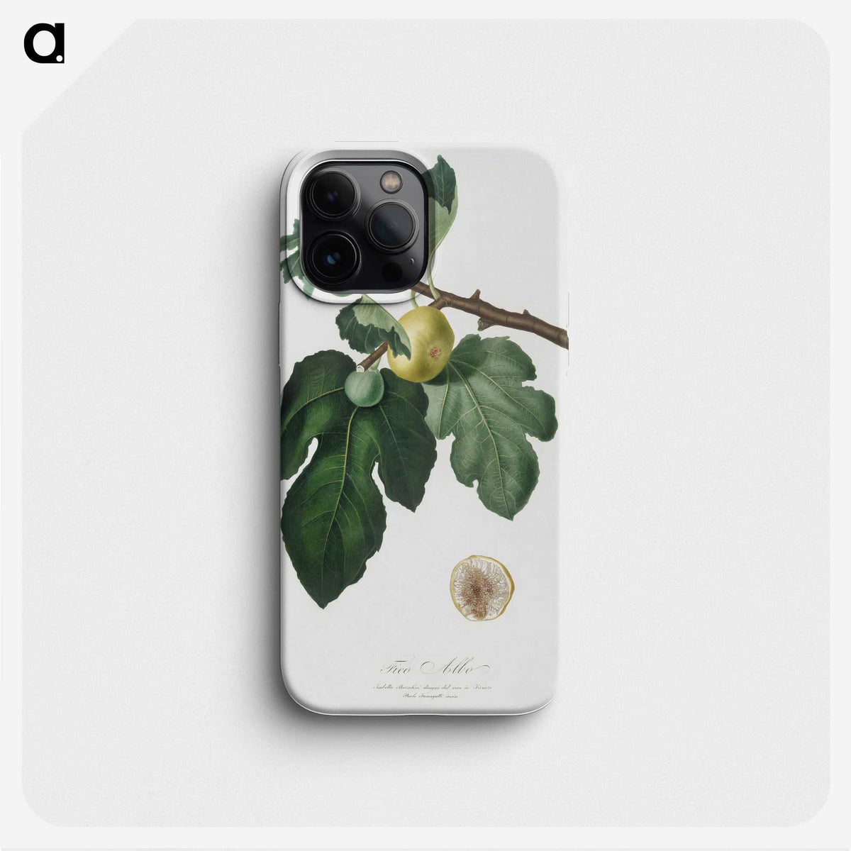 2-37_Pomona-Italiana_phone