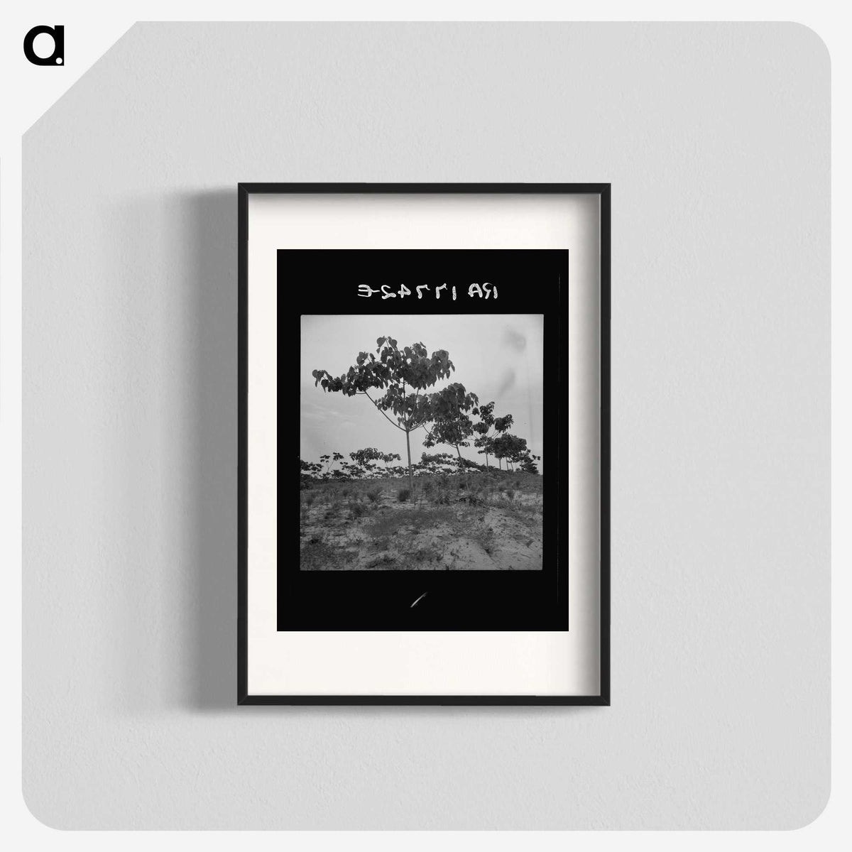 2-38_Dorothea-Lange_blk