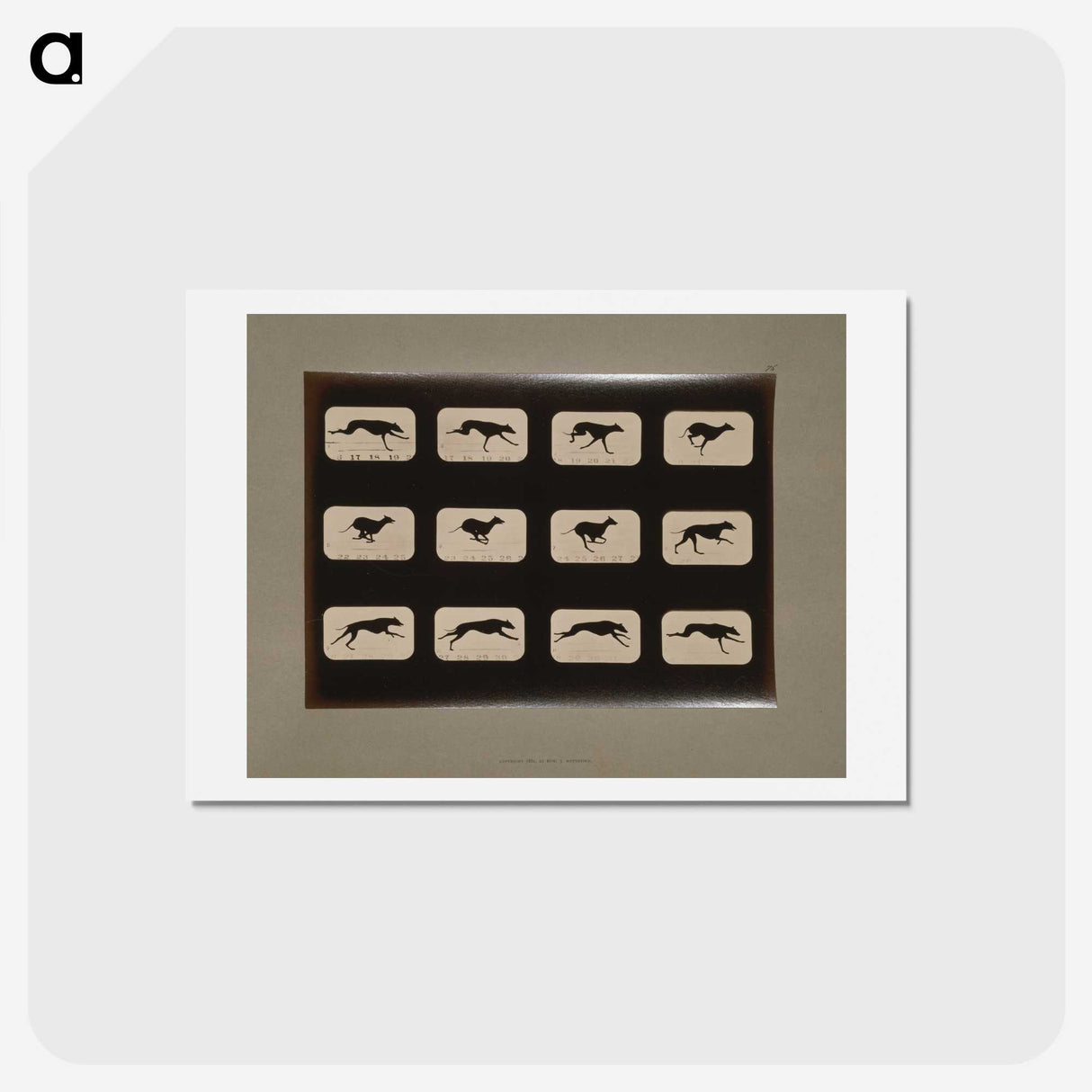 2-38_Eadweard-Muybridge_hagaki
