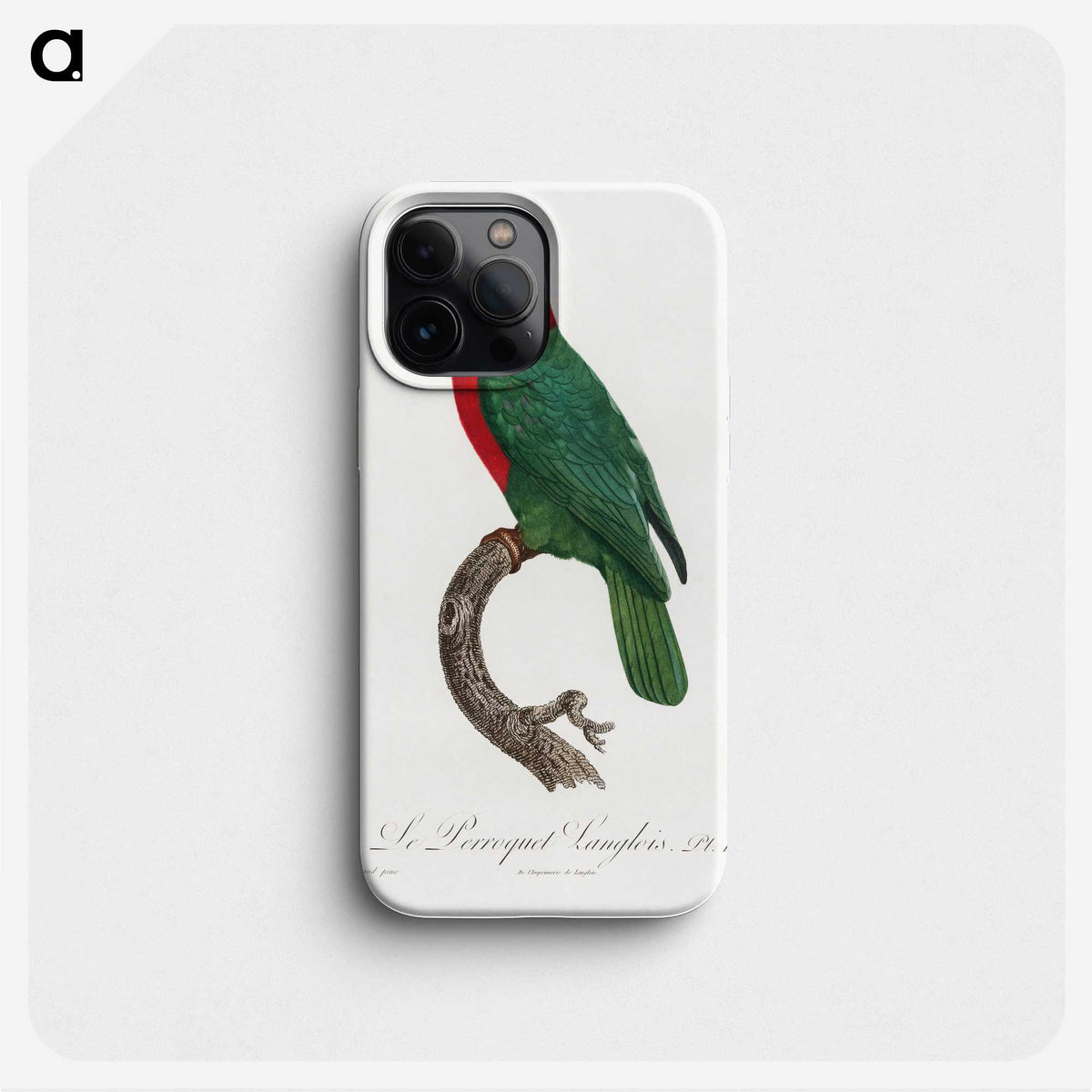 2-38_Francois-Levaillant_phone