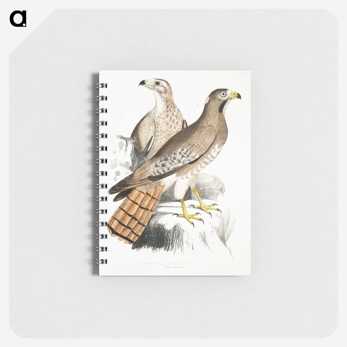 2-38_Indian-Zoology_memo