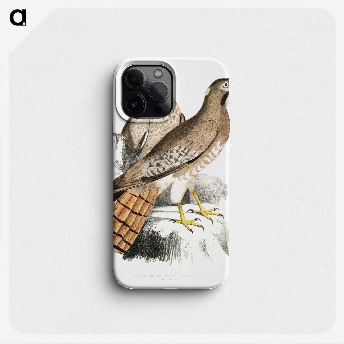 2-38_Indian-Zoology_phone