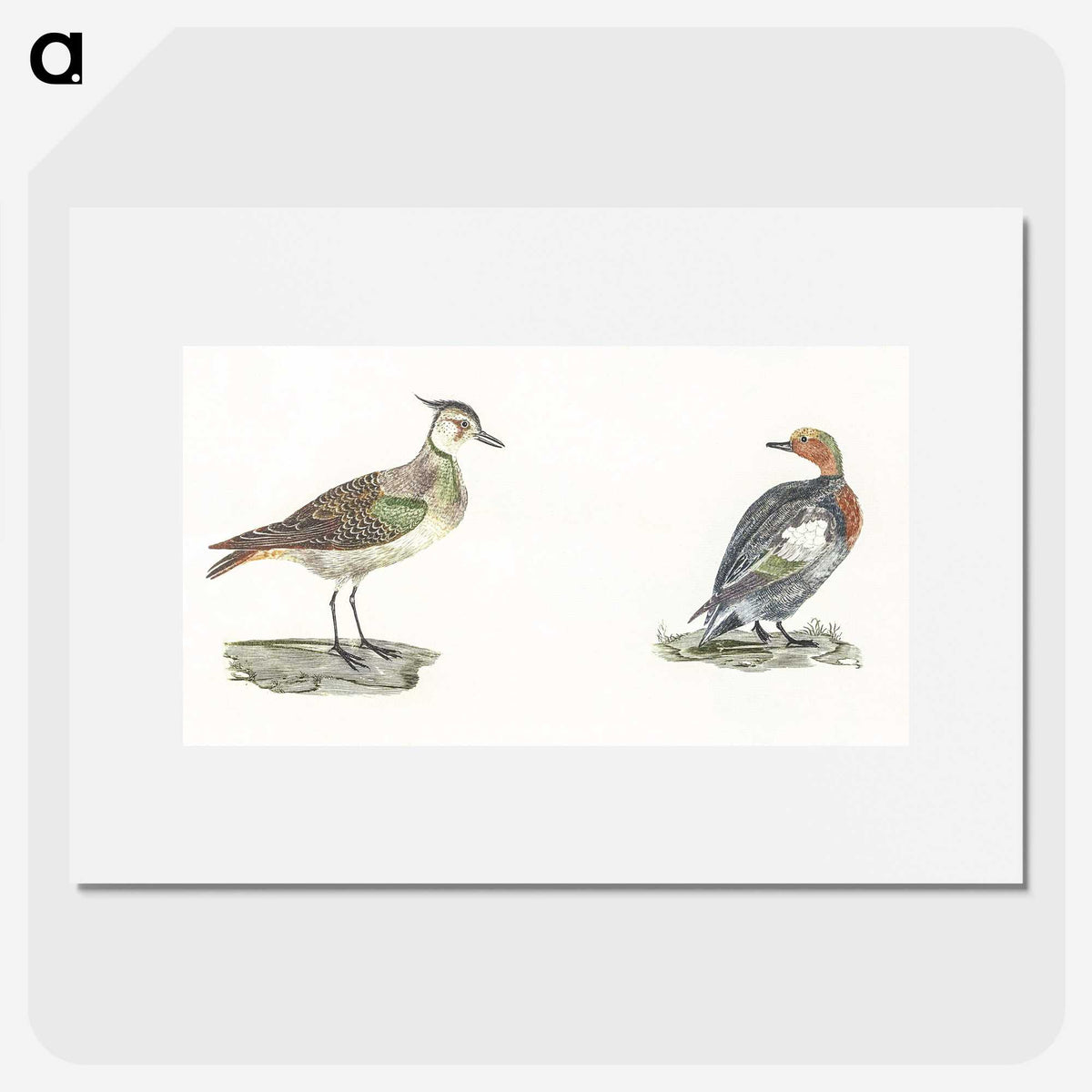 2-38_Johan-Teyler_picture