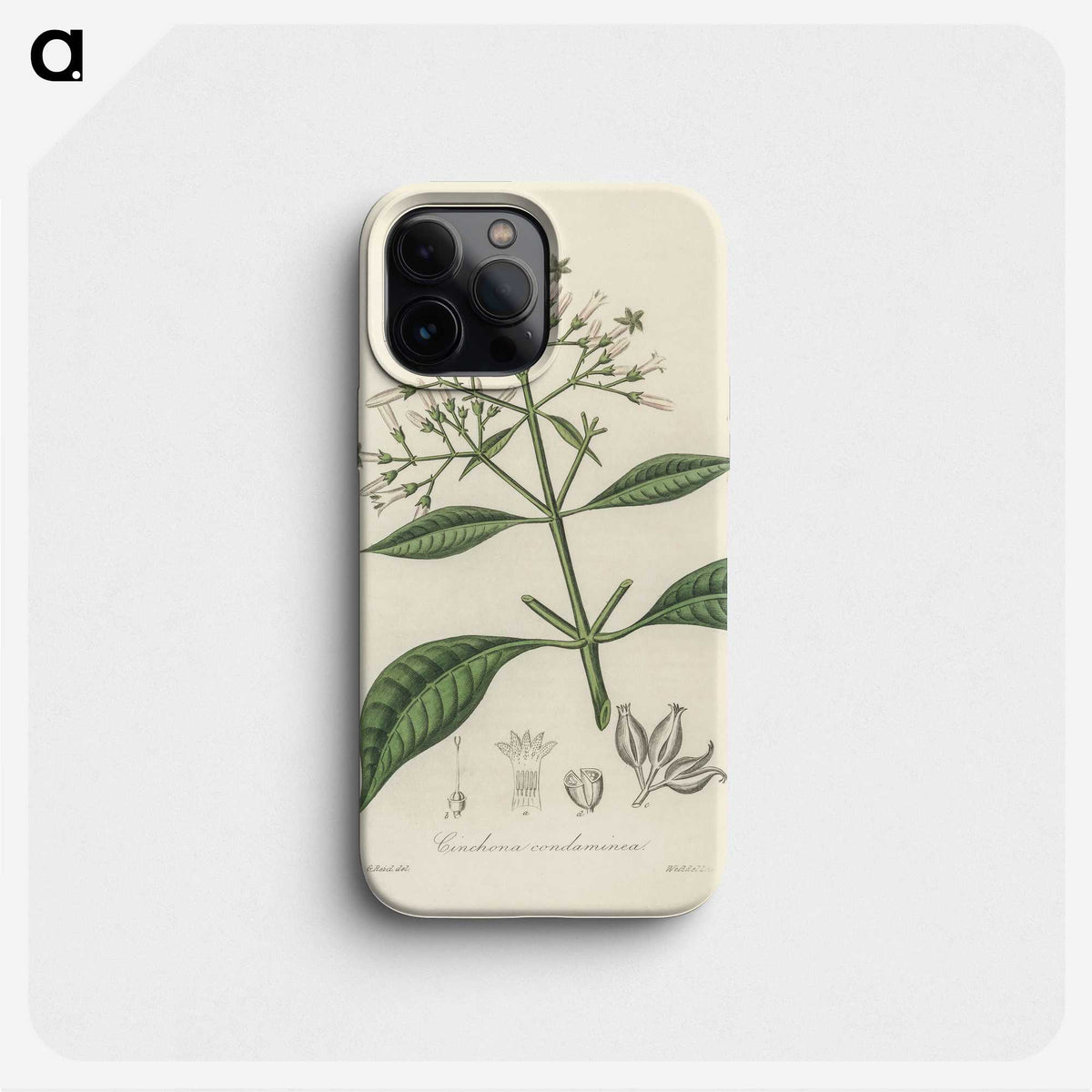 2-38_Medical-Botany_phone