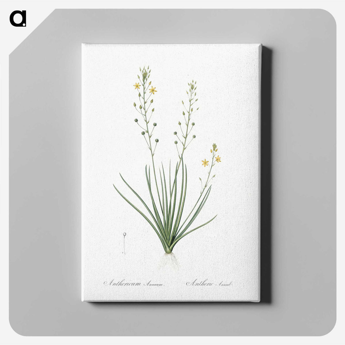 2-38_The-Lilies_canvas