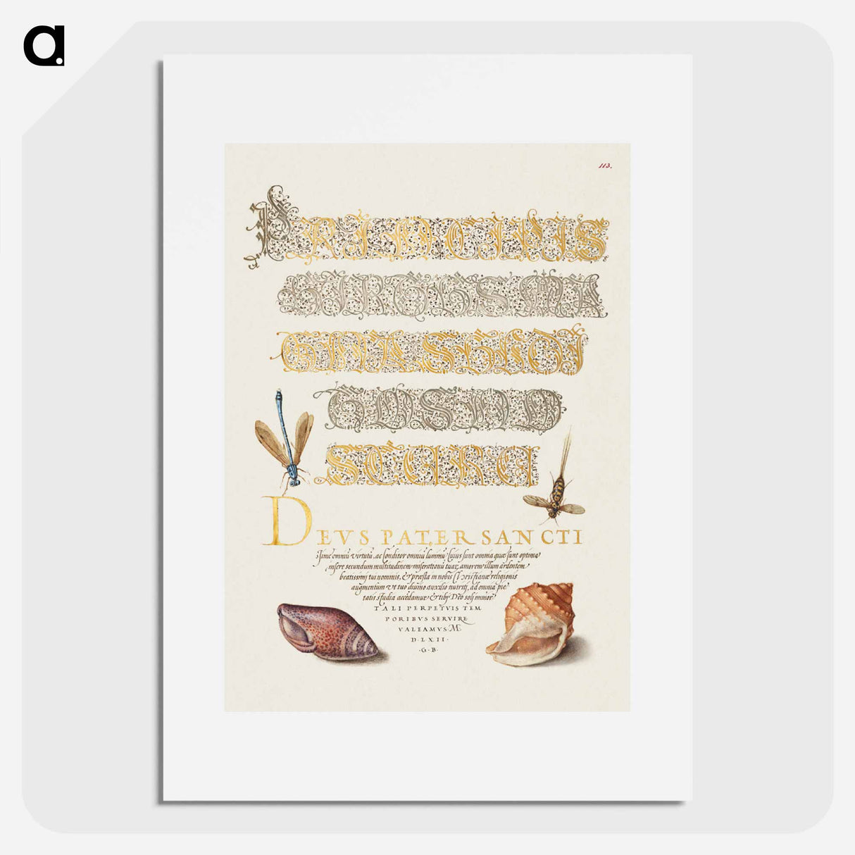 アートポスター-Damselfly, Insect, and Marine Mollusks
- 書道のお手本 Poster.