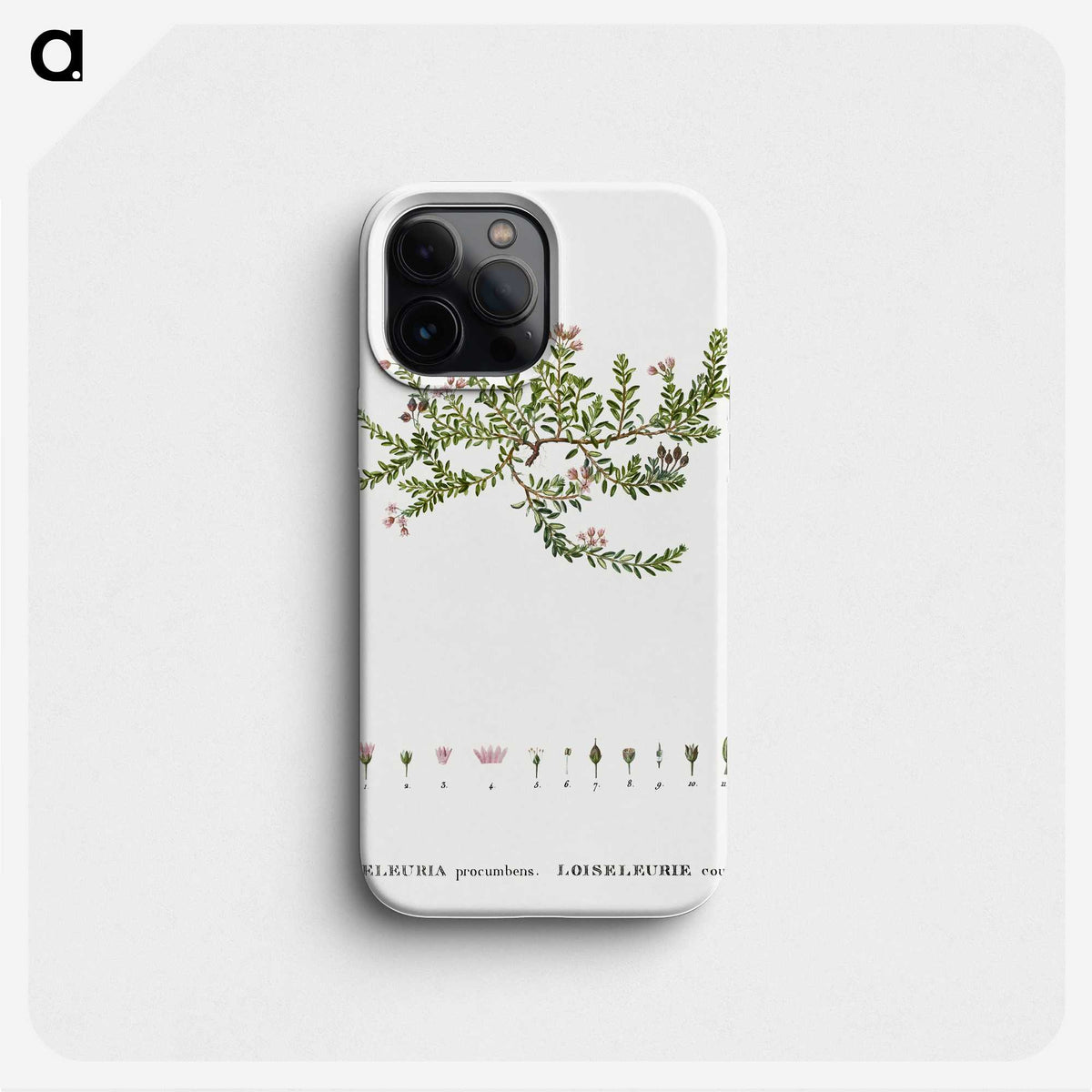 2-38_Treatise-on-Trees-and-Shrubs_phone