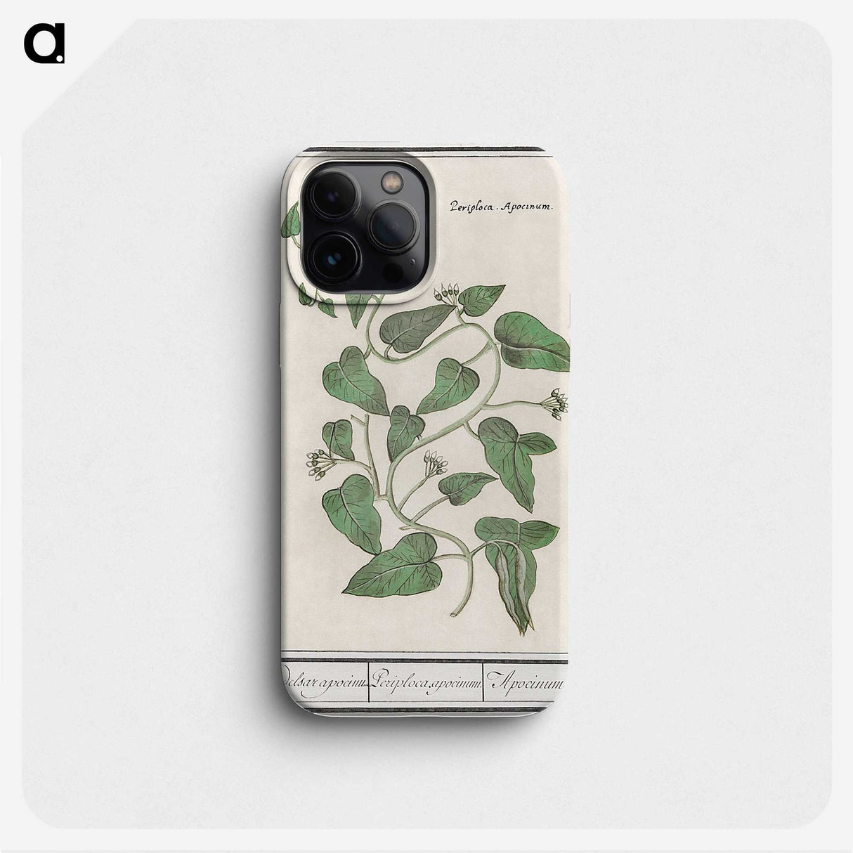 2-39_Anselmus-Boetius-de-Boodt_phone