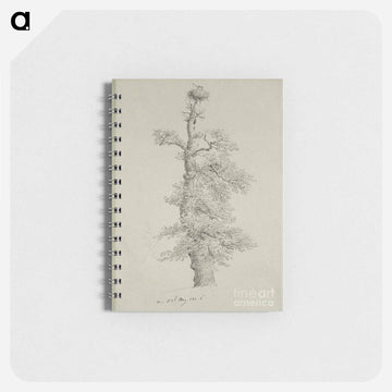 Ancient Oak Tree with a Storks Nest - カスパー ダーヴィト フリードリヒ Memo.