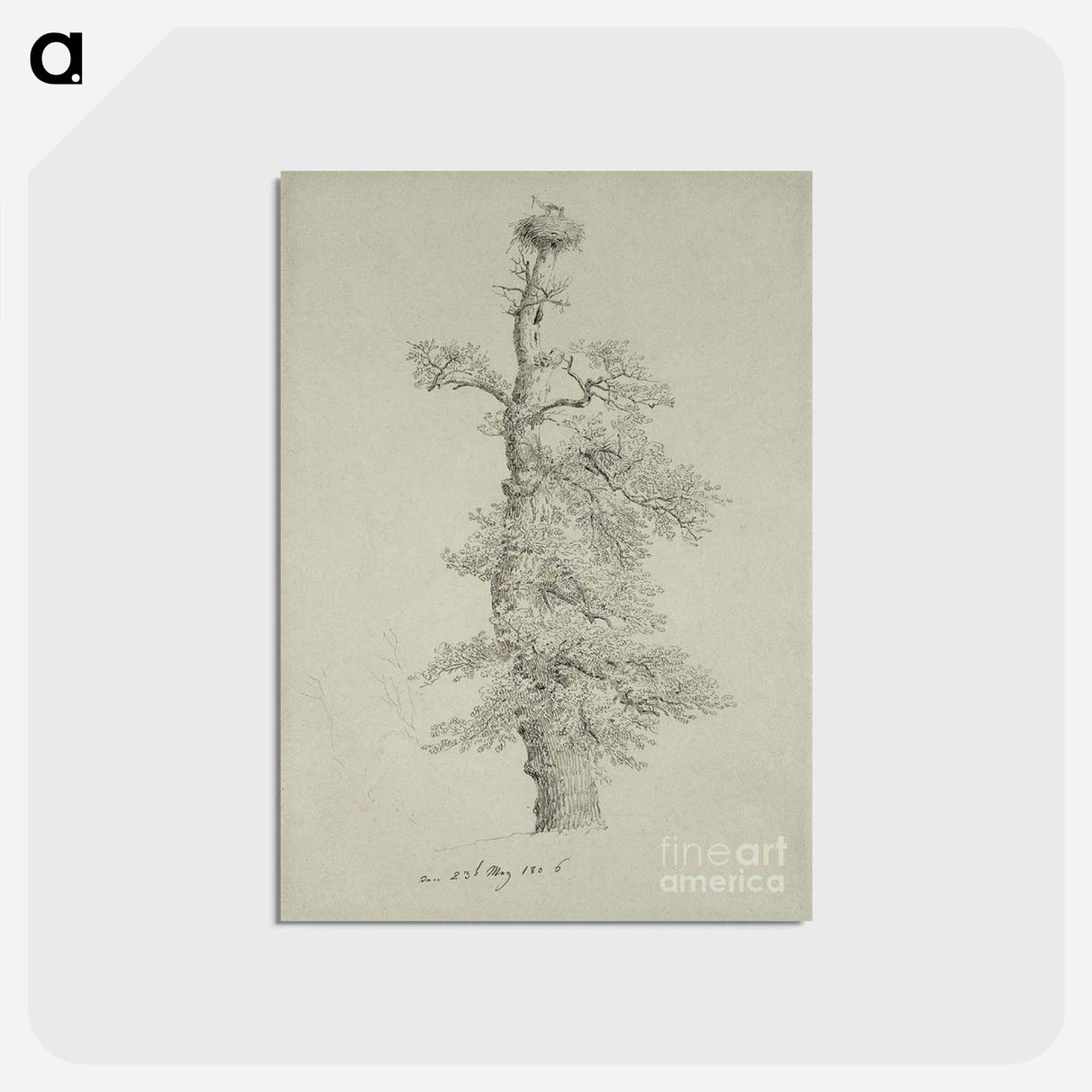 アートポストカード-Ancient Oak Tree with a Storks Nest - カスパー ダーヴィト フリードリヒ Postcard.