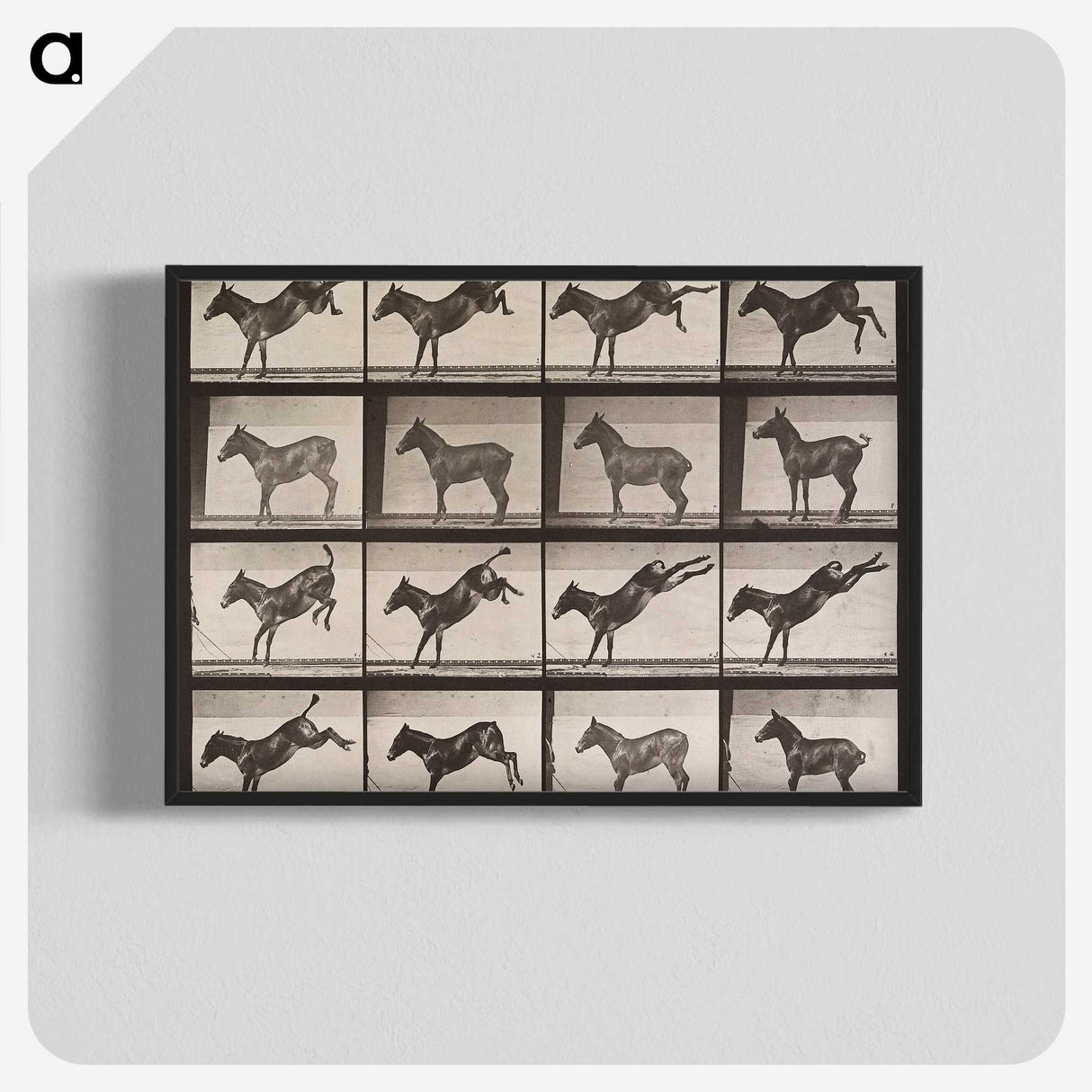 2-39_Eadweard-Muybridge_blk-crop