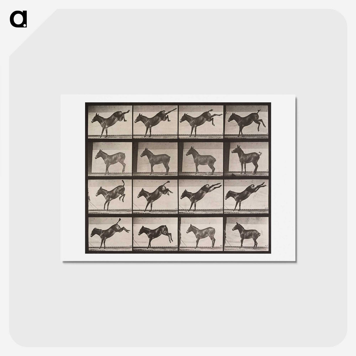 2-39_Eadweard-Muybridge_hagaki