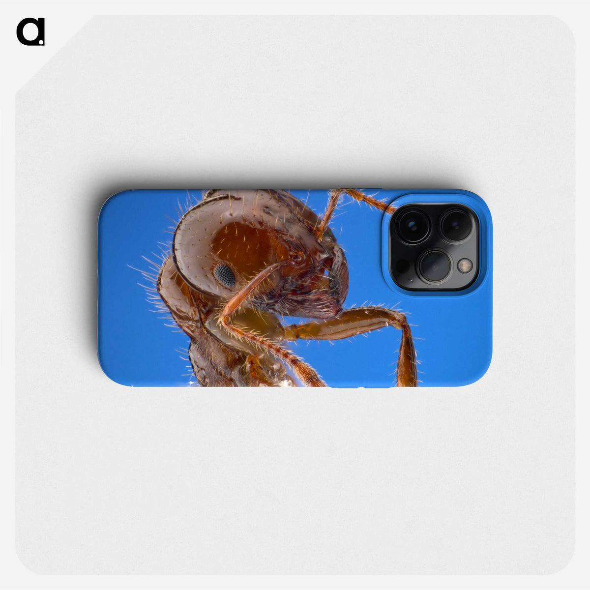 2-39_Insects-Unlocked-Project_phone