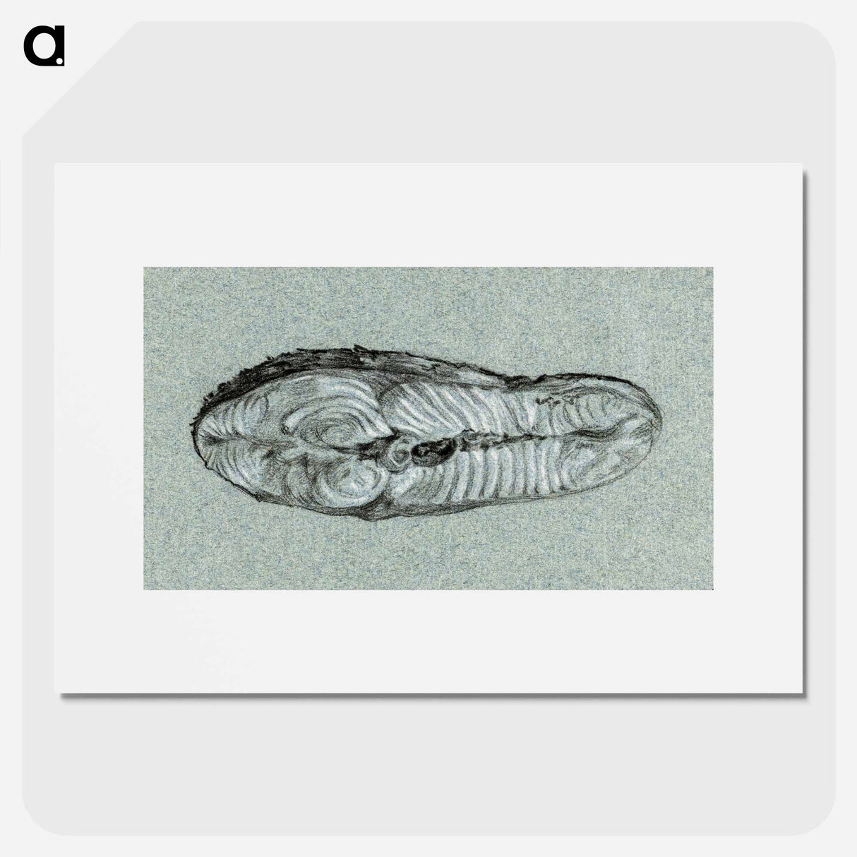 Moot cooked salmon - ジャン ベルナール Poster.