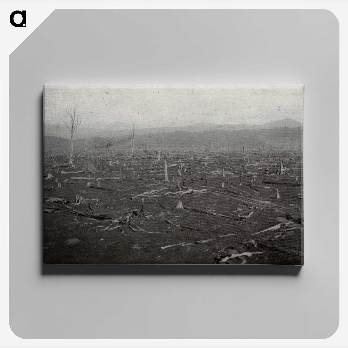 2-39_Leslie-Adkin_canvas