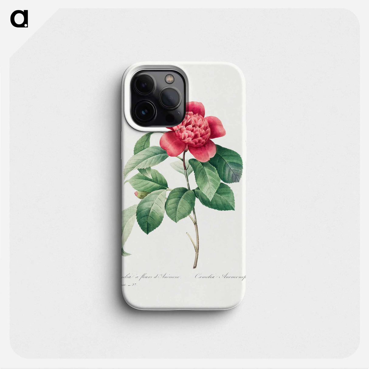 Red Anemone Camellia - Pierre Joseph Redouté Phone Case.
