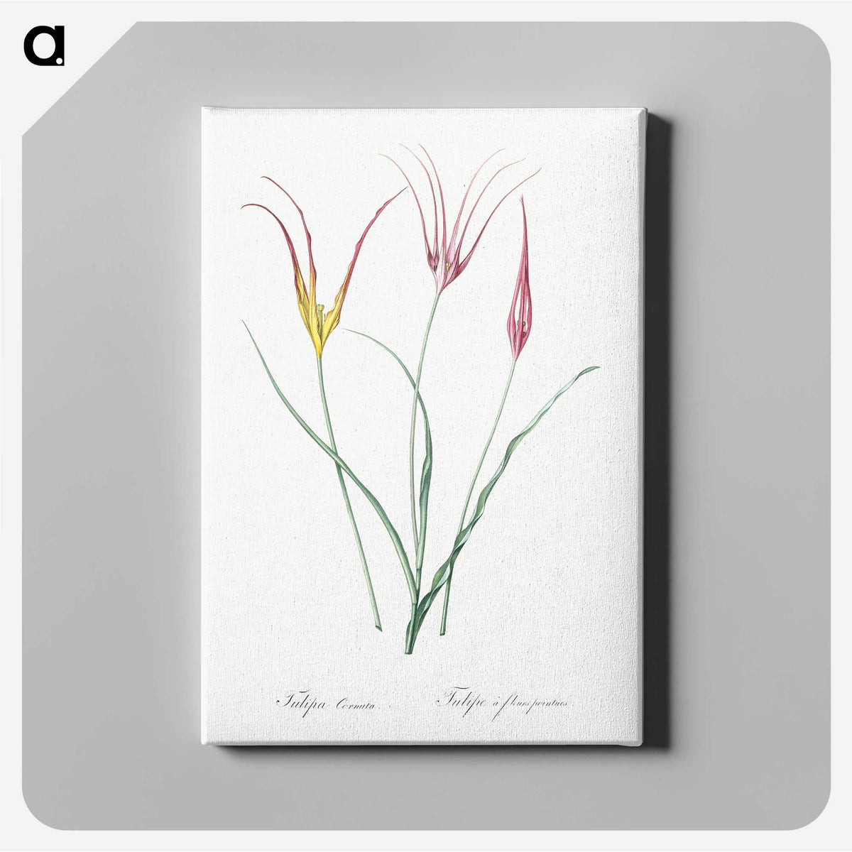 2-39_The-Lilies_canvas