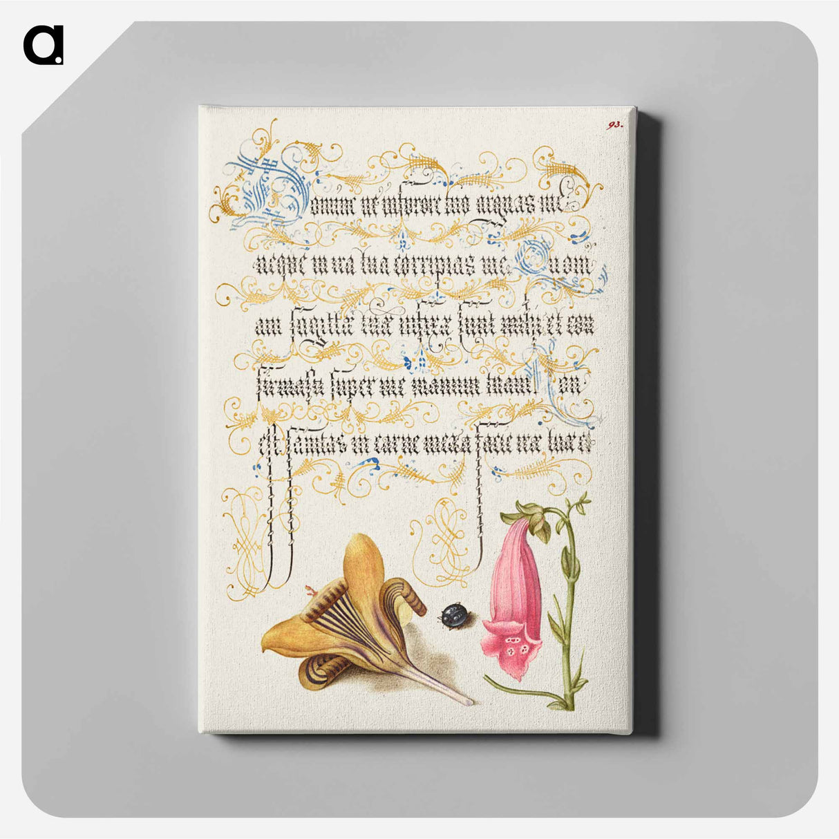アートパネル-Cloth of Gold Crocus, Beetle, and Foxglove from Mira Calligraphiae Monumenta or The Model Book of Calligraphy
- 書道のお手本 Canvas.